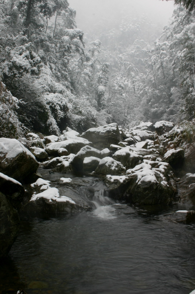 2005.11.13第二场雪