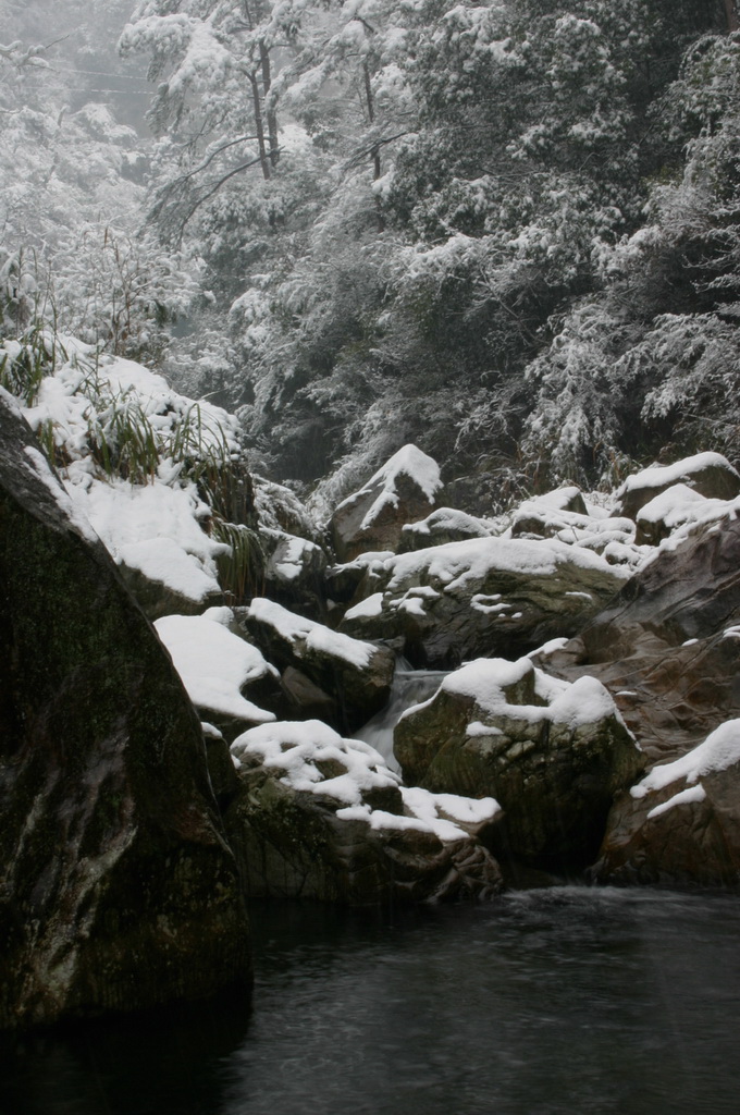 2005.11.13第二场雪