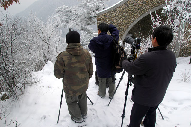 2005年第一场雪华顶摄影采风---《影像天台网》2005.1.13