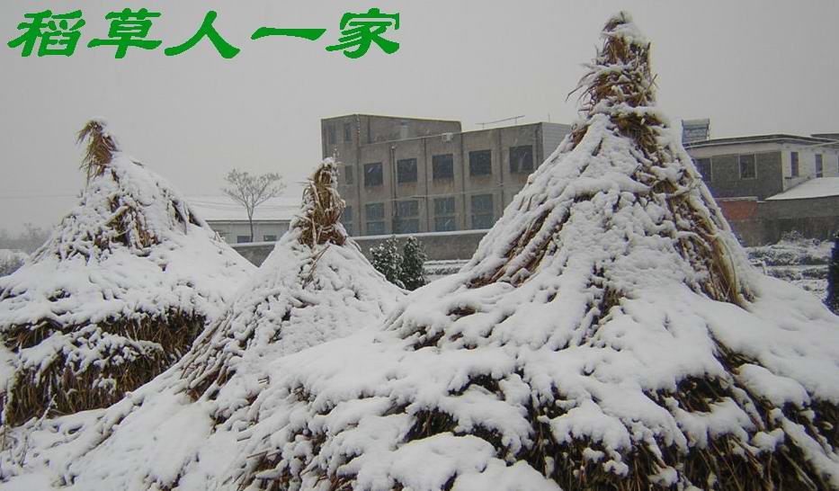 稻草人一家........