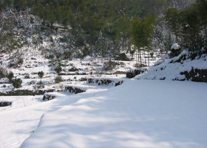 十三点上大雷山
