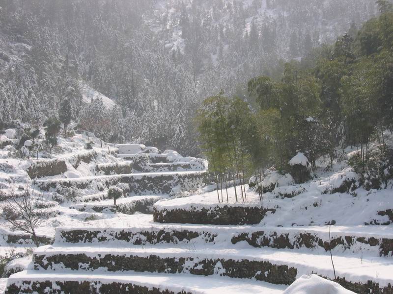 十三点上大雷山