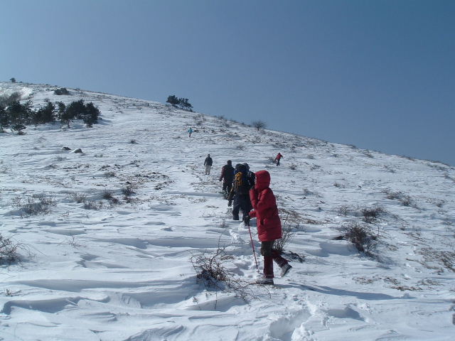 大雷山踏雪--(先睹为快)