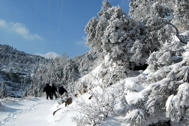 雪中行----------www.tt007.com