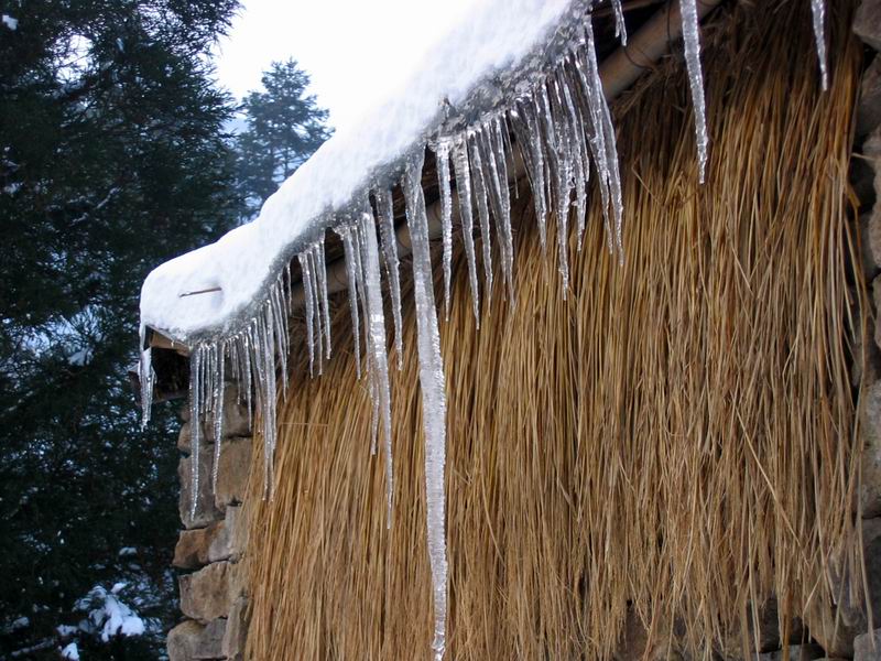 1.15~16 雪上大雷山