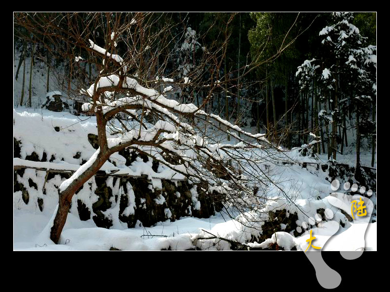 1.15~16 雪上大雷山