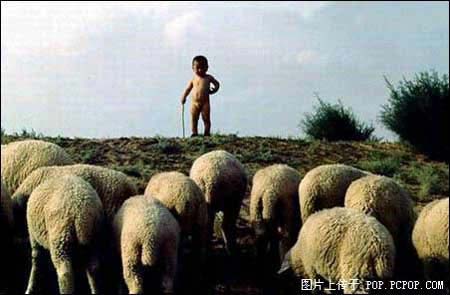 有史以来网上最欠扁的图片