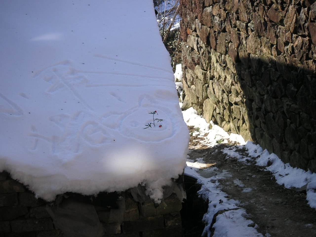 2005年1月1日北山冰雪世界行
