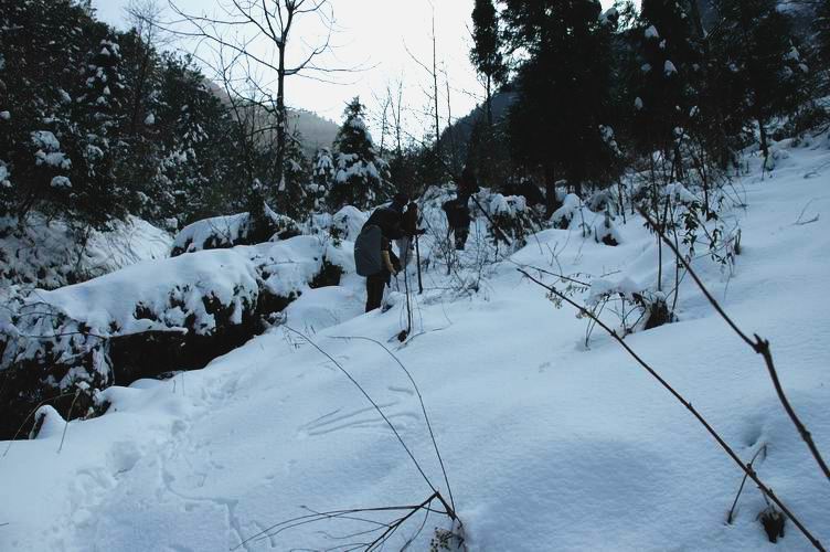 1.15~16 雪上大雷山