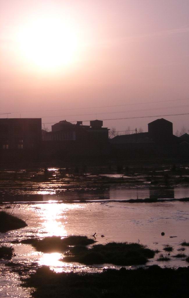 漫步夕阳西下前.(冬日田野)