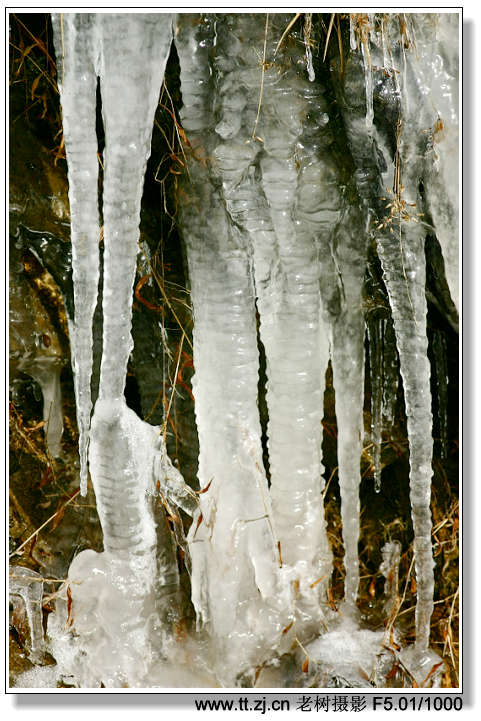 雪中山村2004.12.31