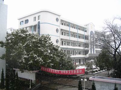 校园风起
