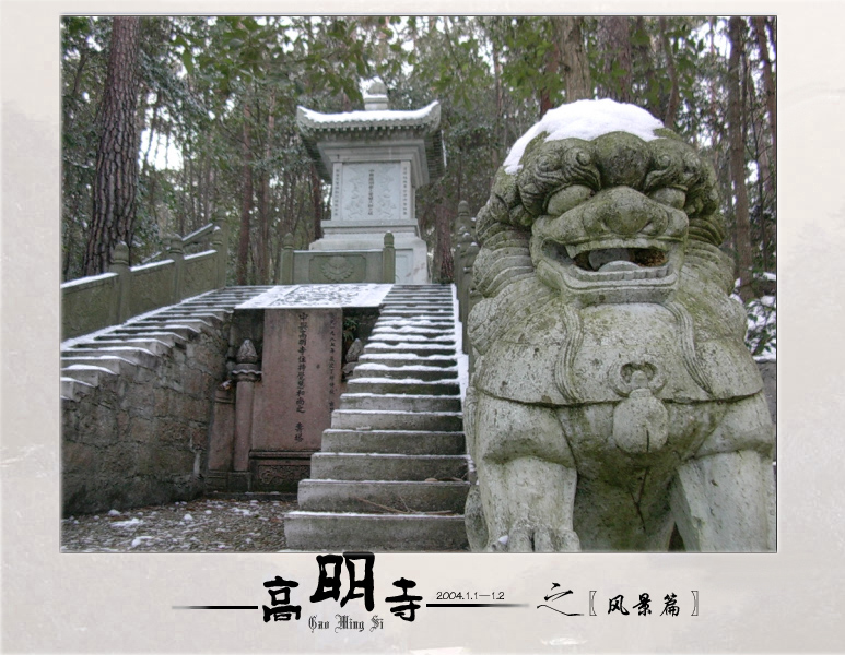 [原创]潇洒出尘之行走高明