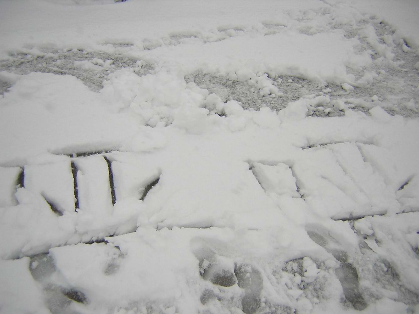 迟到的雪景.............(2004.12.28)