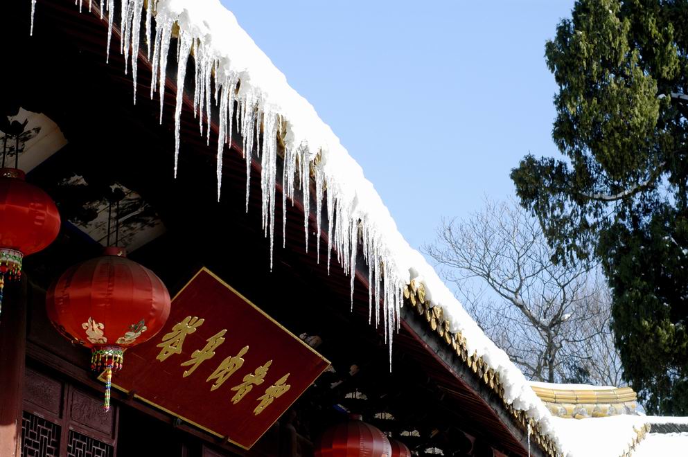 元旦华顶之行