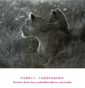 让人流泪感人文章《疯娘》（转）