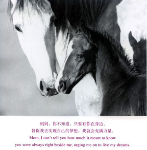 让人流泪感人文章《疯娘》（转）