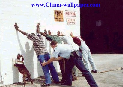 统统给我站好