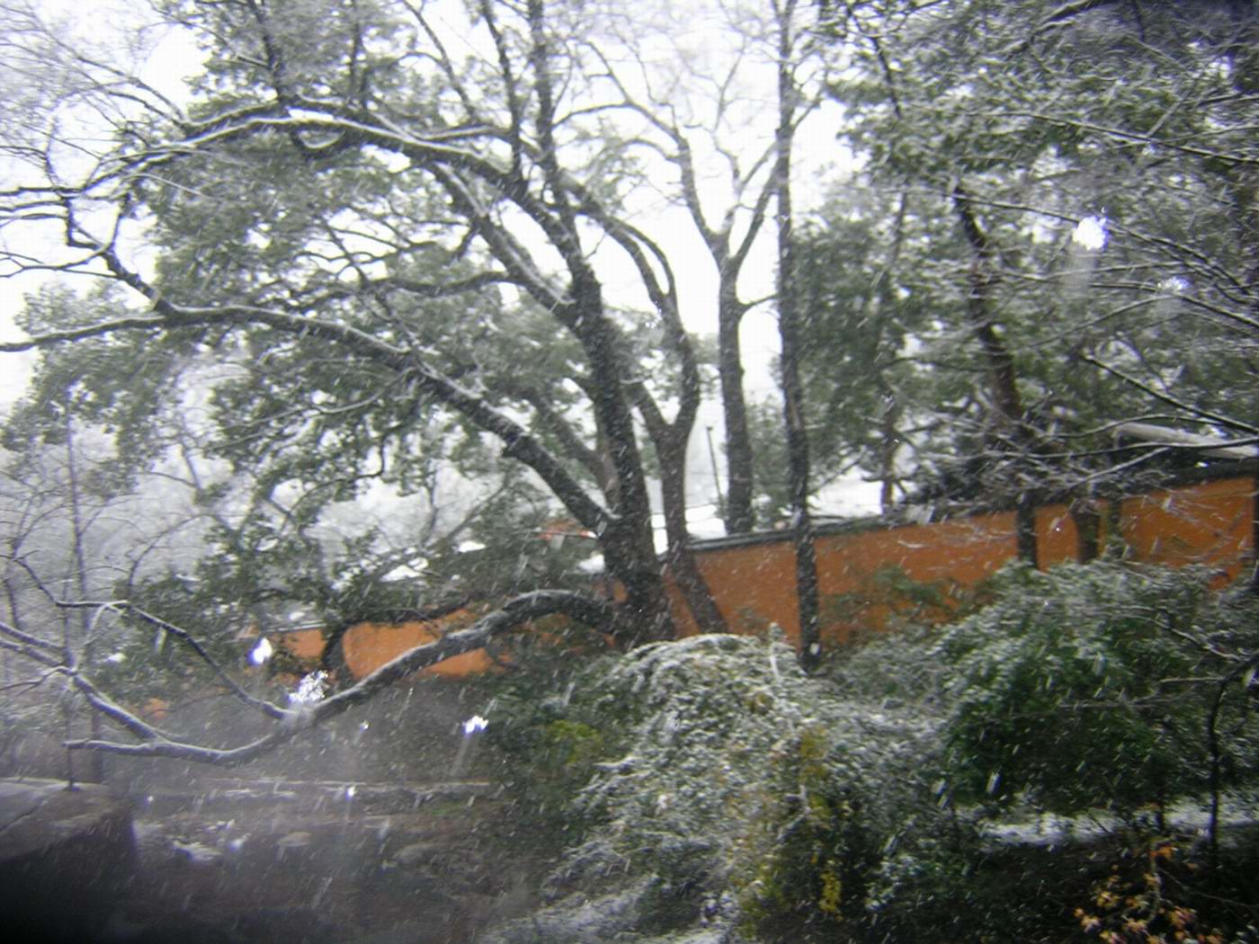 迟到的雪景.............(2004.12.28)