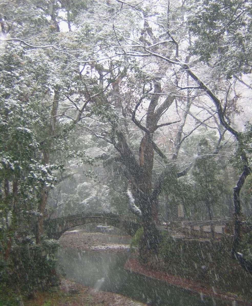 迟到的雪景.............(2004.12.28)