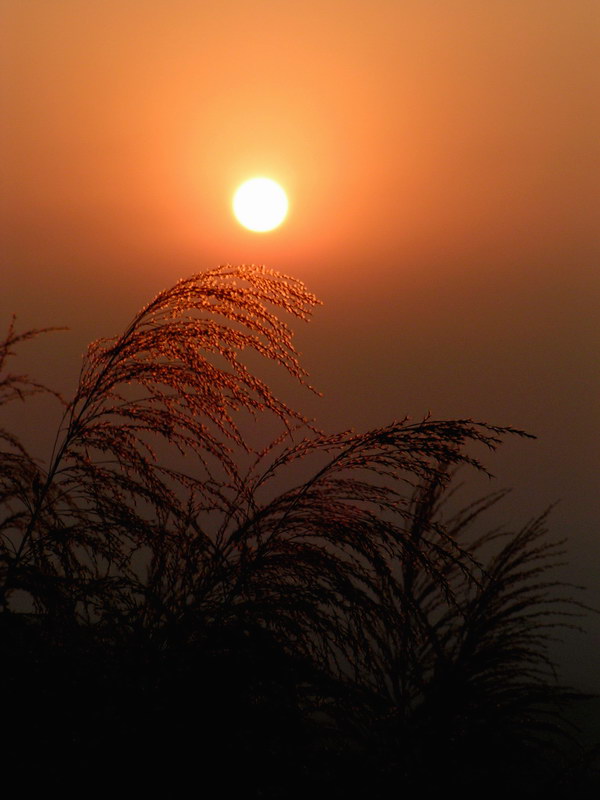 [原创]夕阳
