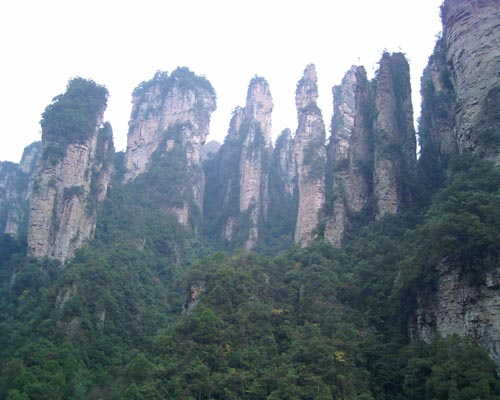 新手