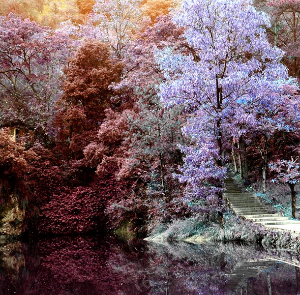仙景
