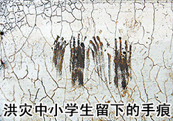 2005最感动的照片3