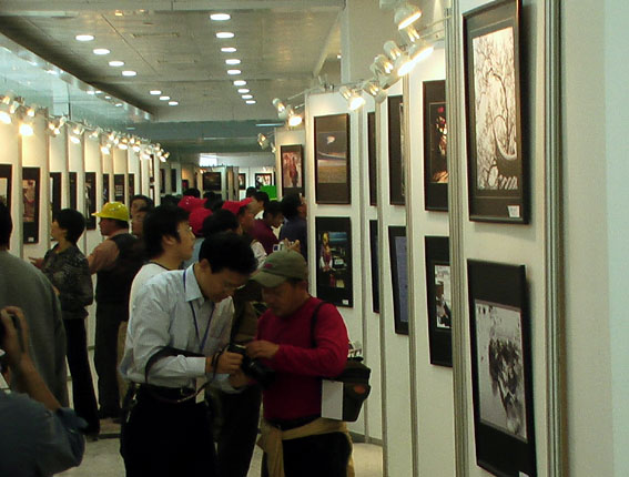 2005丽水国际影展-32张图片花絮