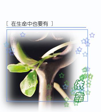 恭喜2663升官--发个老贴