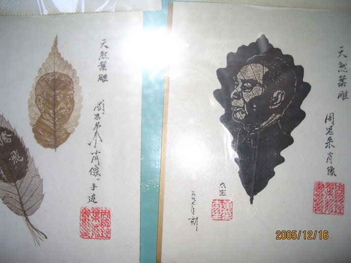 少见的树叶雕刻