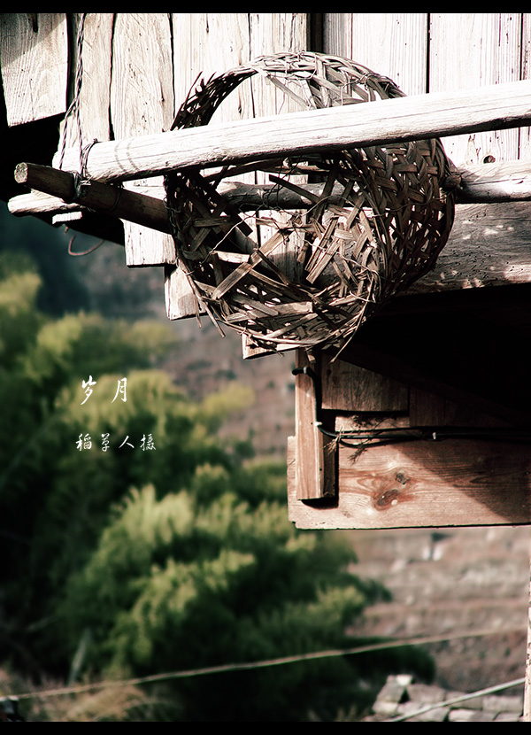灵溪的照片（原创）