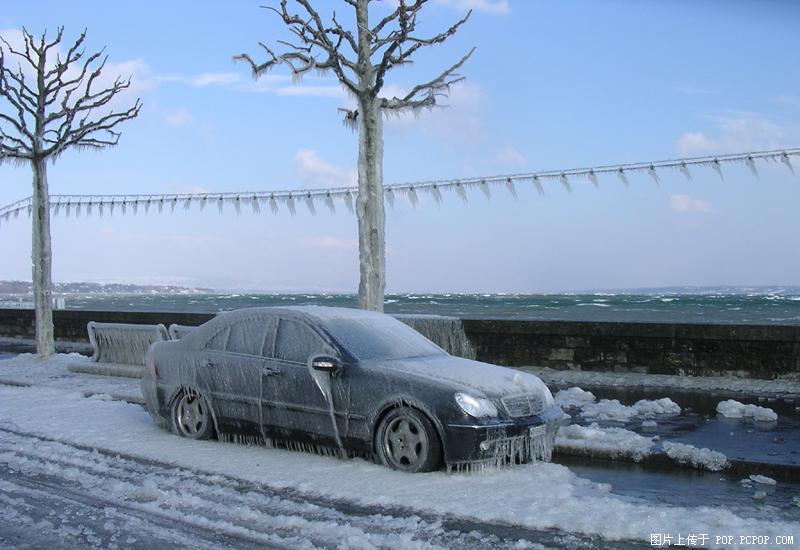 待到来年雪化时