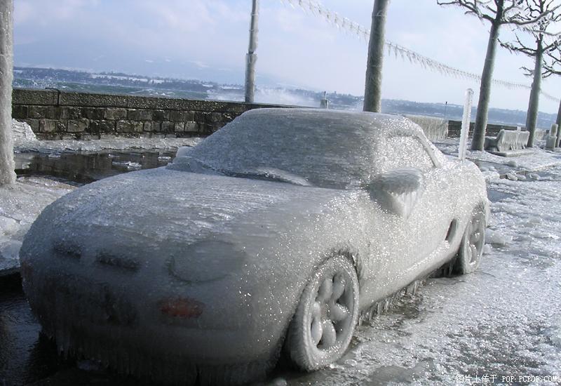 待到来年雪化时