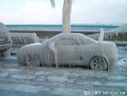 待到来年雪化时