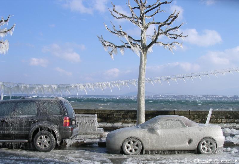 待到来年雪化时