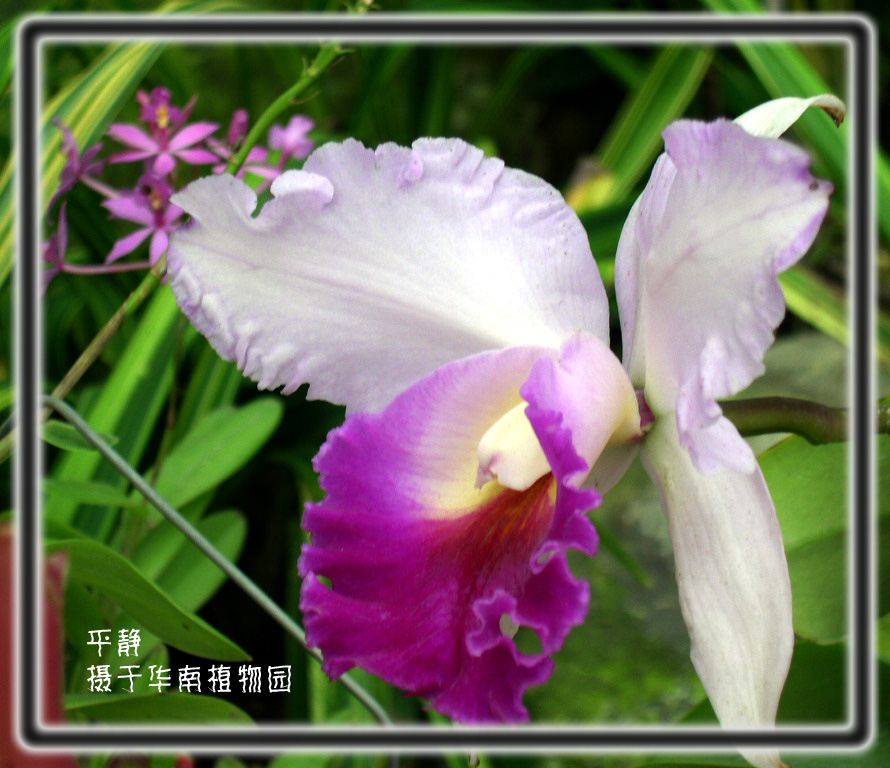 广州植物园