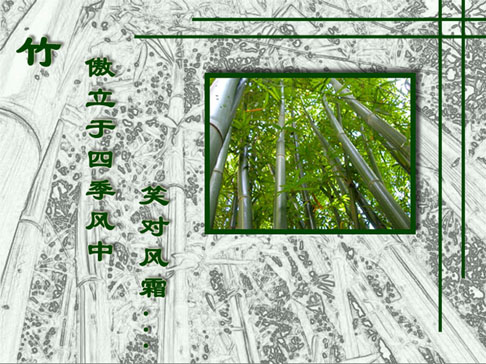 竹之灵