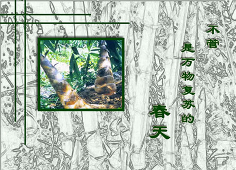 竹之灵