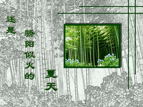 竹之灵