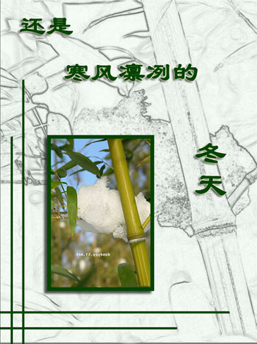 竹之灵