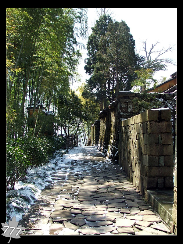 05.3.13塔头寺乱拍