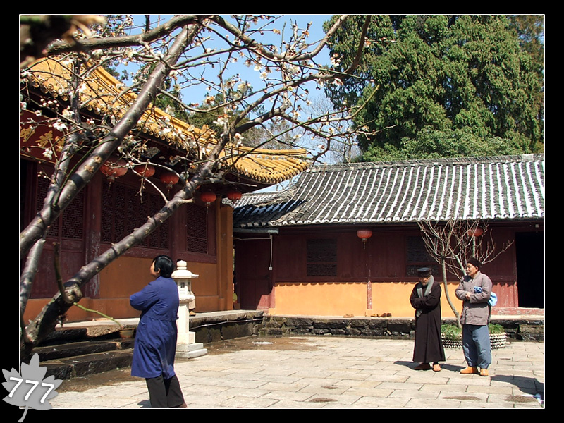 05.3.13塔头寺乱拍