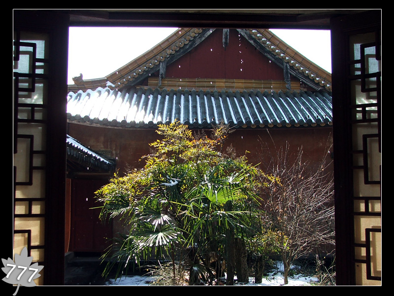 05.3.13塔头寺乱拍