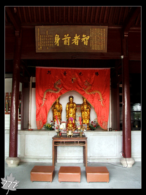 05.3.13塔头寺乱拍