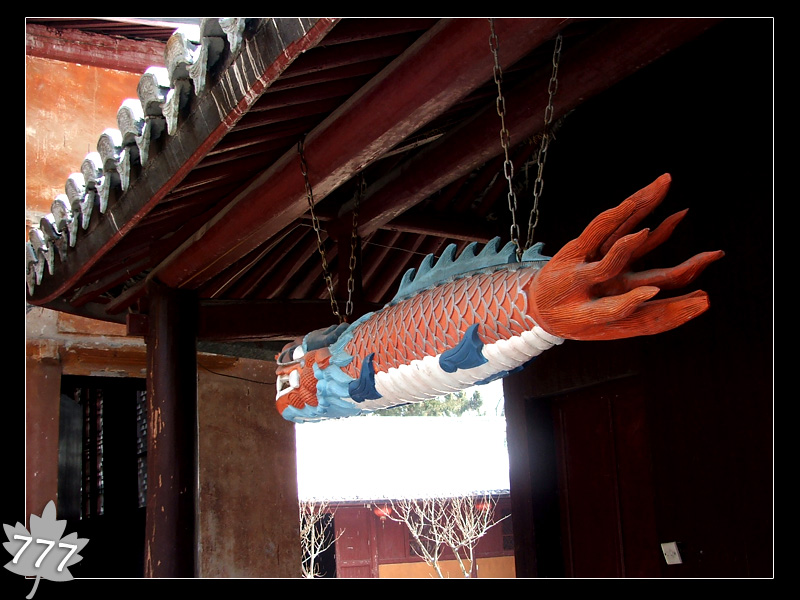 05.3.13塔头寺乱拍