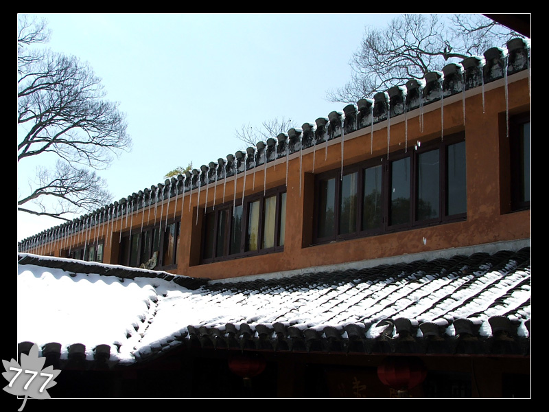 05.3.13塔头寺乱拍