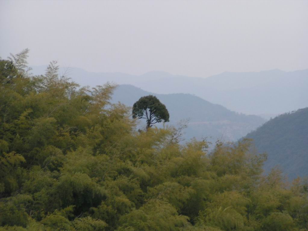 2005.3.18-20浙东之行照片
