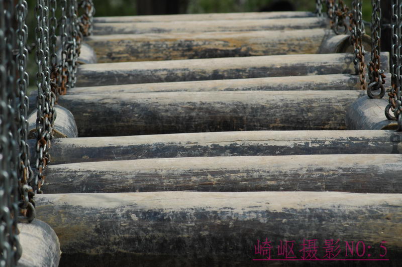 [原创]今天在龙山拍的几张.