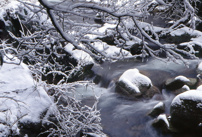[原创]春天来了，别忘了雪曾经带给你的快乐！
